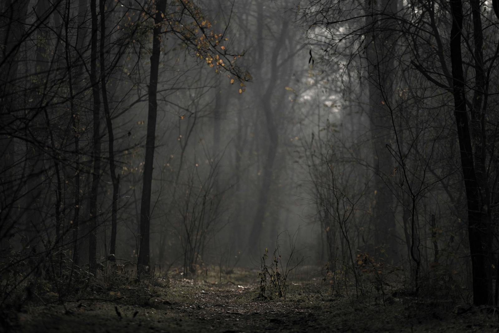 The Psychology of Thresholds: Why We Fear Life’s Gateways