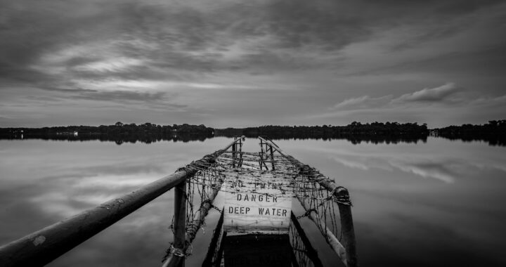 grayscale photography of dock far from trees