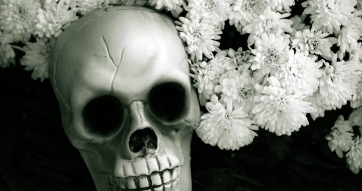 Why Purity Is the Most Dangerous Myth of All
