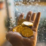 Nitika Rituals for Immediate Cashflow: A Practitioner’s Framework